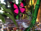 Аліса Баришівська фотография #19 (источник - https://vk.com/id33920186)