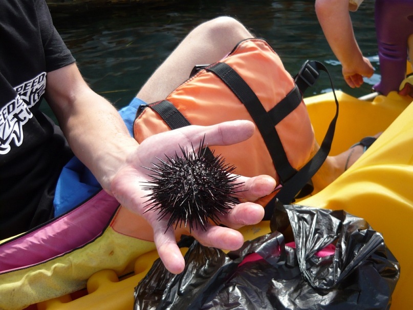 Роберт Хакимов фотография #10