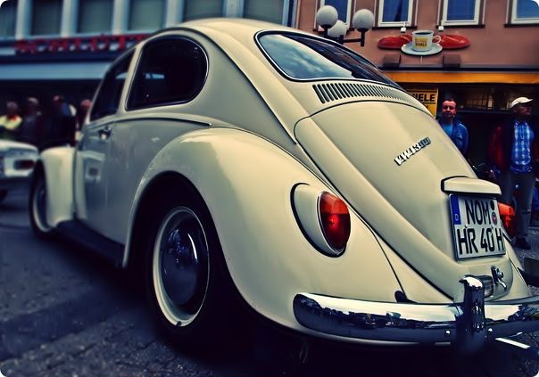 Andrej Winner фото №16