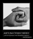 Фотография Ozerov Petr