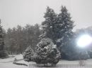 Сергій Терпиловський фотография #35 (источник - https://vk.com/id151000564)