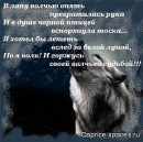 Андрій Ріпак фотография #27 (источник - https://vk.com/id37923281)