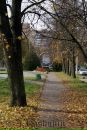 Kashunin_dubna Кашунин фотография #46 (источник - https://vk.com/id63151103)