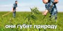 Ілля Гашко фотография #43 (источник - https://vk.com/id122749666)