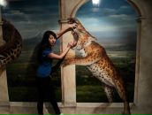 Натик Ким фотография #37 (источник - https://vk.com/id71798)