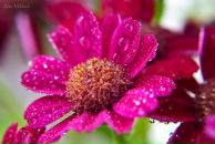 Юлія Соболь фотография #35 (источник - https://vk.com/id58163152)