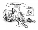 Олександр Трофімчук фотография #26 (источник - https://vk.com/id17877498)