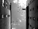 Аня Ціпотан фотография #48 (источник - https://vk.com/id20642672)