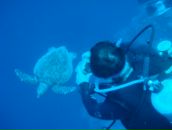 Фотография Диричева Ирина