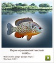 Иван Бабинец фотография #47 (источник - https://vk.com/id120069385)