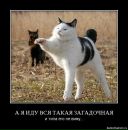 Фотография Никулиной Лоры