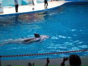 Murat Uzun фотография #36 (источник - https://vk.com/id1846906)