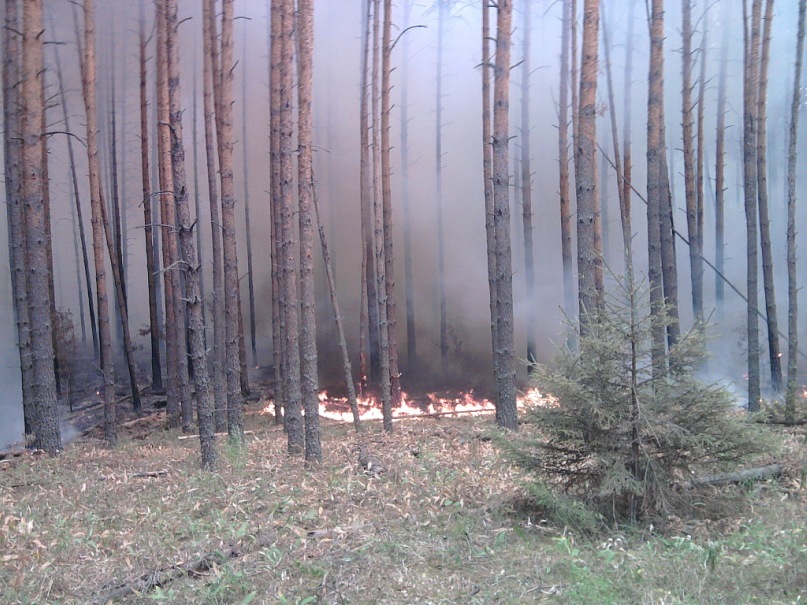 Дмитрий Васин фотография #49