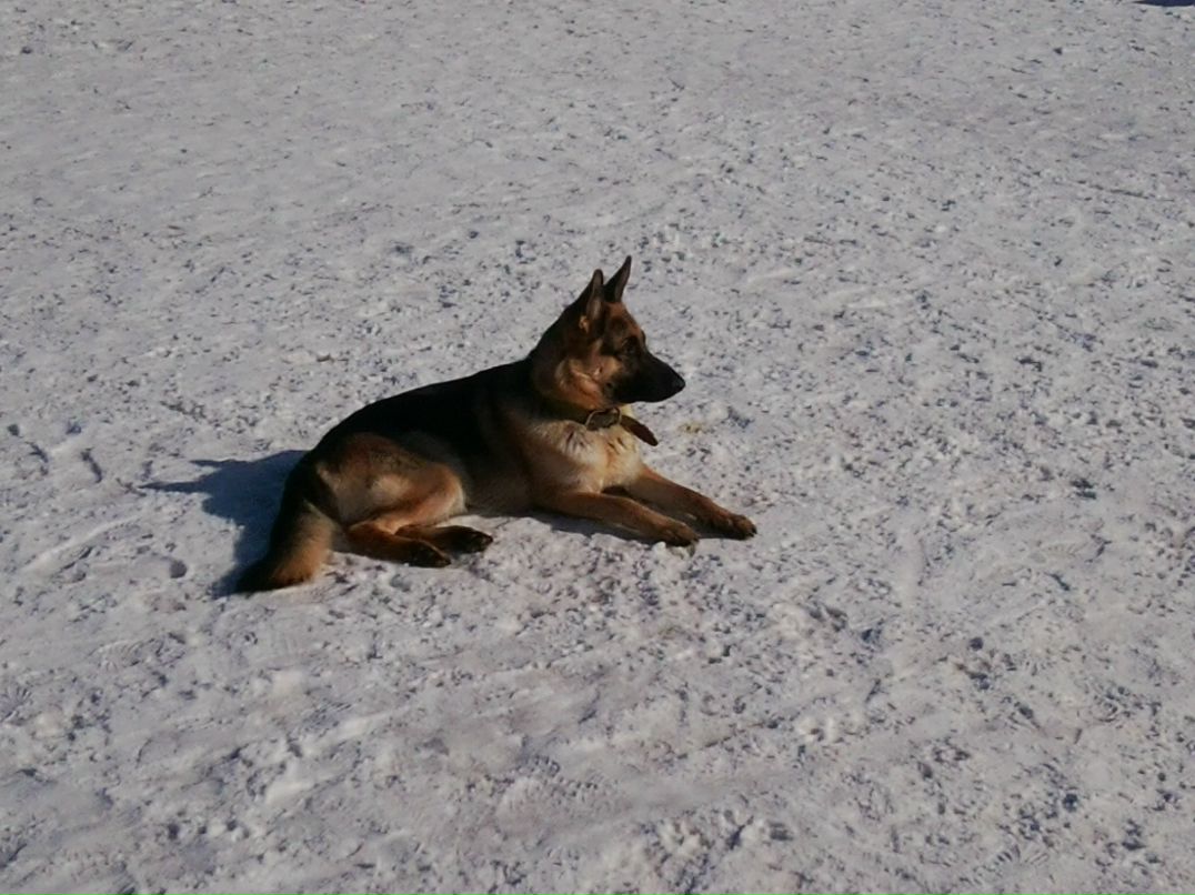 Андрей Кубышкин фотография #35