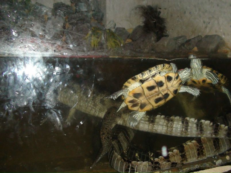 Дима Душенко фото №1