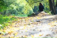 Фотография Милич Юленьки