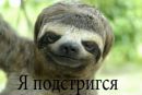 Иван Кушнир фотография #40 (источник - https://vk.com/id104693213)