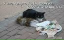 Вадім Швець фотография #8 (источник - https://vk.com/id156905046)