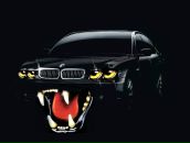 Фотография Стрельцова Михаила