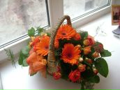 Фотография Островской Елены