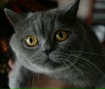 Фотография Жукова Сергея