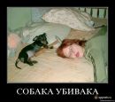 Андрій Гульчук фотография #32 (источник - https://vk.com/id21827585)