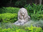 Фотография Жучков Кирилл