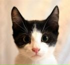 Anton Kozlov фотография #6 (источник - https://vk.com/id5103457)