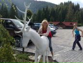 Оксана Годій фотография #11 (источник - https://vk.com/id35192466)