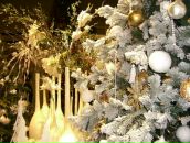 Фотография Беломестных Ирины