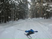 Фотография Меркуловой Иры
