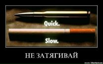 Tol Ya фотография #34 (источник - https://vk.com/id14660620)