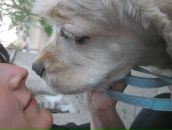 Фотография Яшиной Иры