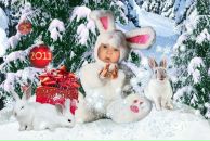 Фотография Щегловой Дарьи