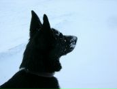 Фотография Кондаковой Ольги