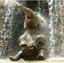 Фотография Кобазева Вани