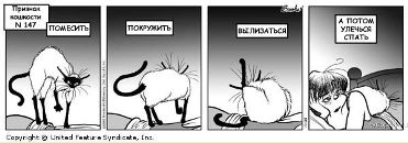 Internal Infinity фотография #13 (источник - https://vk.com/id2945498)