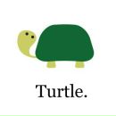 Dimmy Turtle фотография #7 (источник - https://vk.com/id3429572)