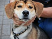 Фотография Бондарцева Алексея