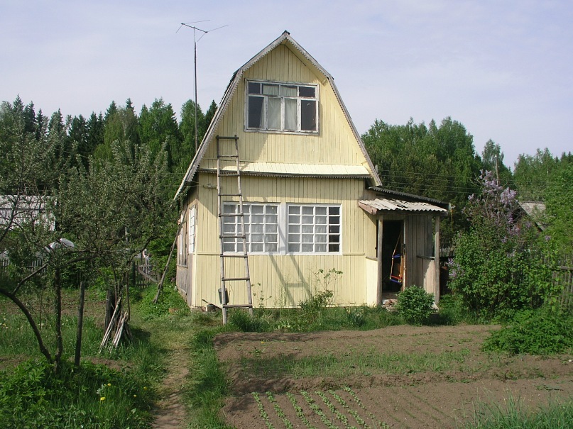 Александр Степаненко фотография #33