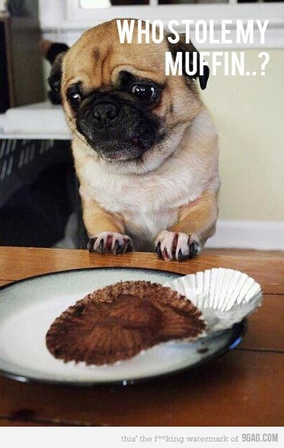 Alan M фотография #36