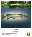 Олег Бердій фотография #44 (источник - https://vk.com/id76580477)