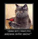 Лєра Хованець фотография #25 (источник - https://vk.com/id50056922)