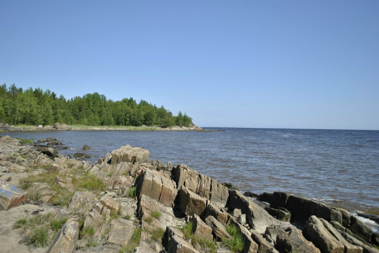 Дмитрий Павловский фотография #19