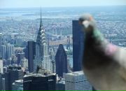 Фотография Кашпарова Андрея