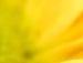 Юлія Бойчук фотография #41 (источник - https://vk.com/id137990501)