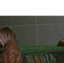 Андрій Сеньків фотография #27 (источник - https://vk.com/id125592035)