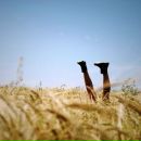 Фотография Филипповой Ольги