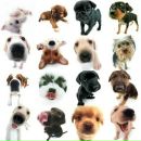 Фотография Вандышевой Мари