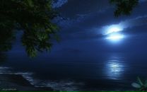 Андрій Микитин фотография #19 (источник - https://vk.com/id65168375)